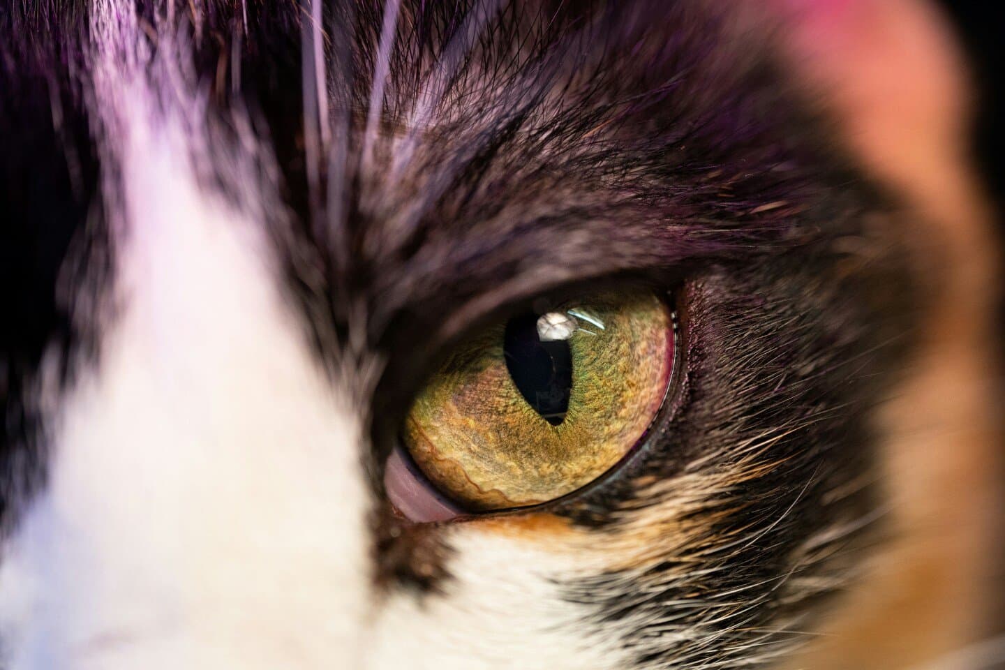 Katseye, image 1 of 1