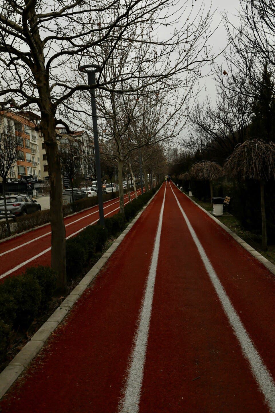 Palacio de Deportes San Pedro Alcántara, image 1 of 1