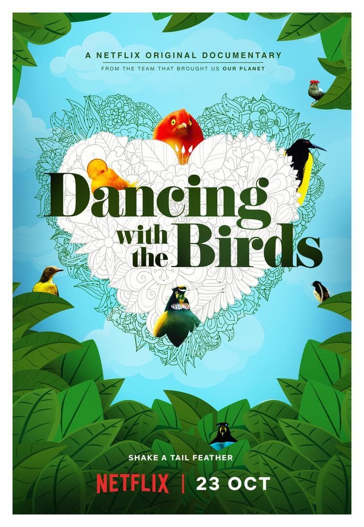 Dancing with the Birds, image 1 of 1