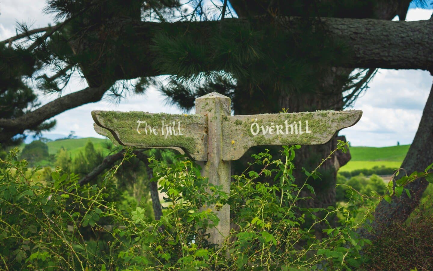 John Kavanagh The Gravediggers, image 1 of 1