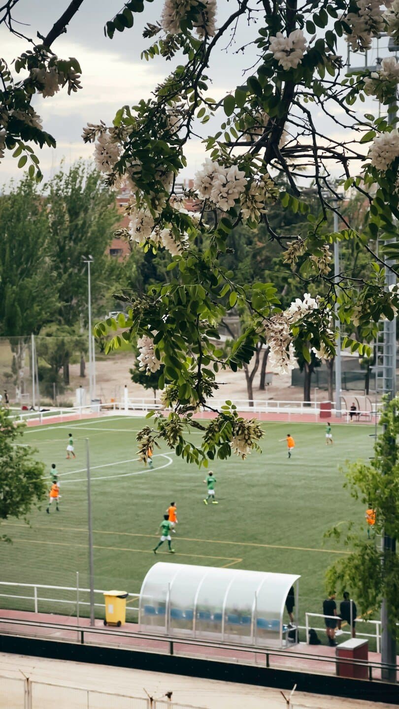 Pista de atletismo de Madrid Río, image 1 of 1