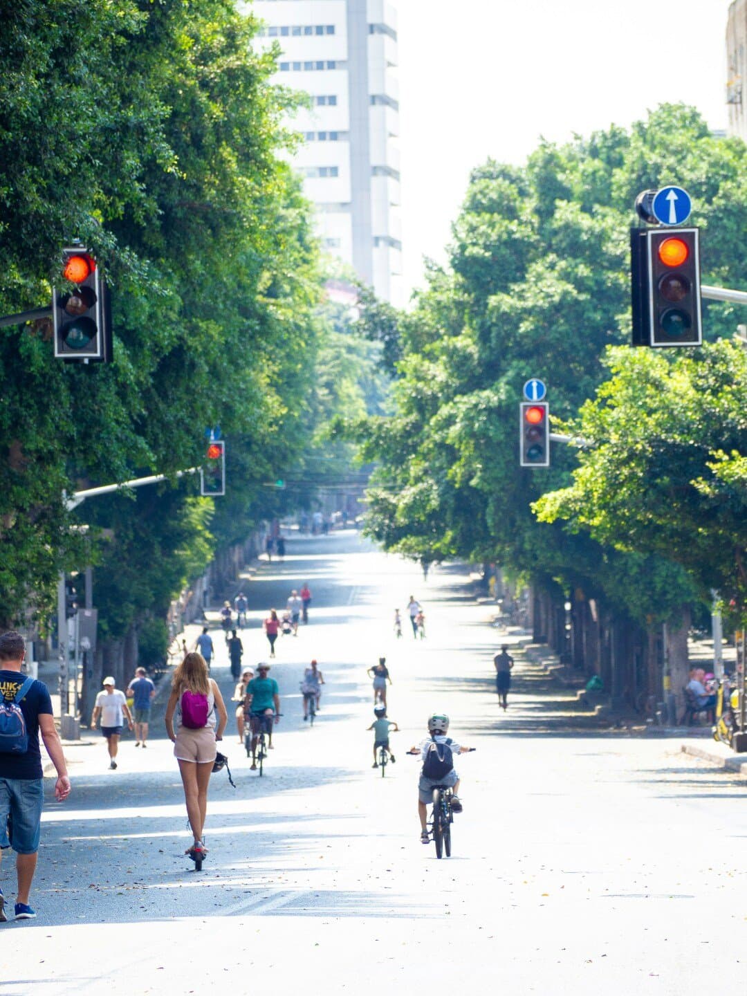 Desigualdades sociais, territórios da vulnerabilidade e mobilidade urbana, image 1 of 1