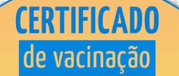 Deixe certificado de vacinação junto com passaporte, image 1 of 1