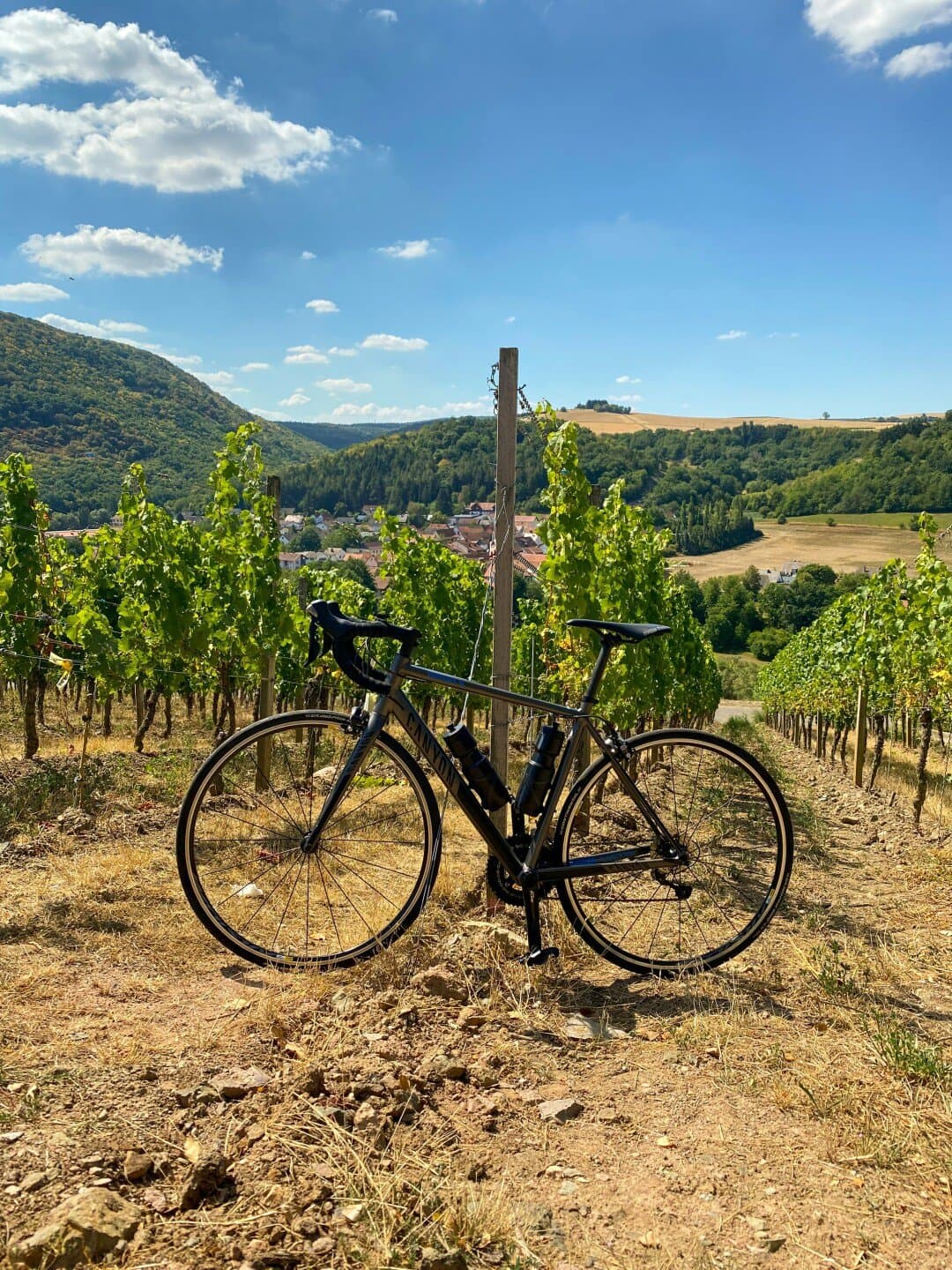 Cono Sur Bicicleta Pinot Noir, image 1 of 1