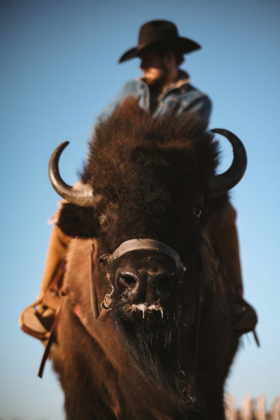 Buffalo Trace, image 1 of 1