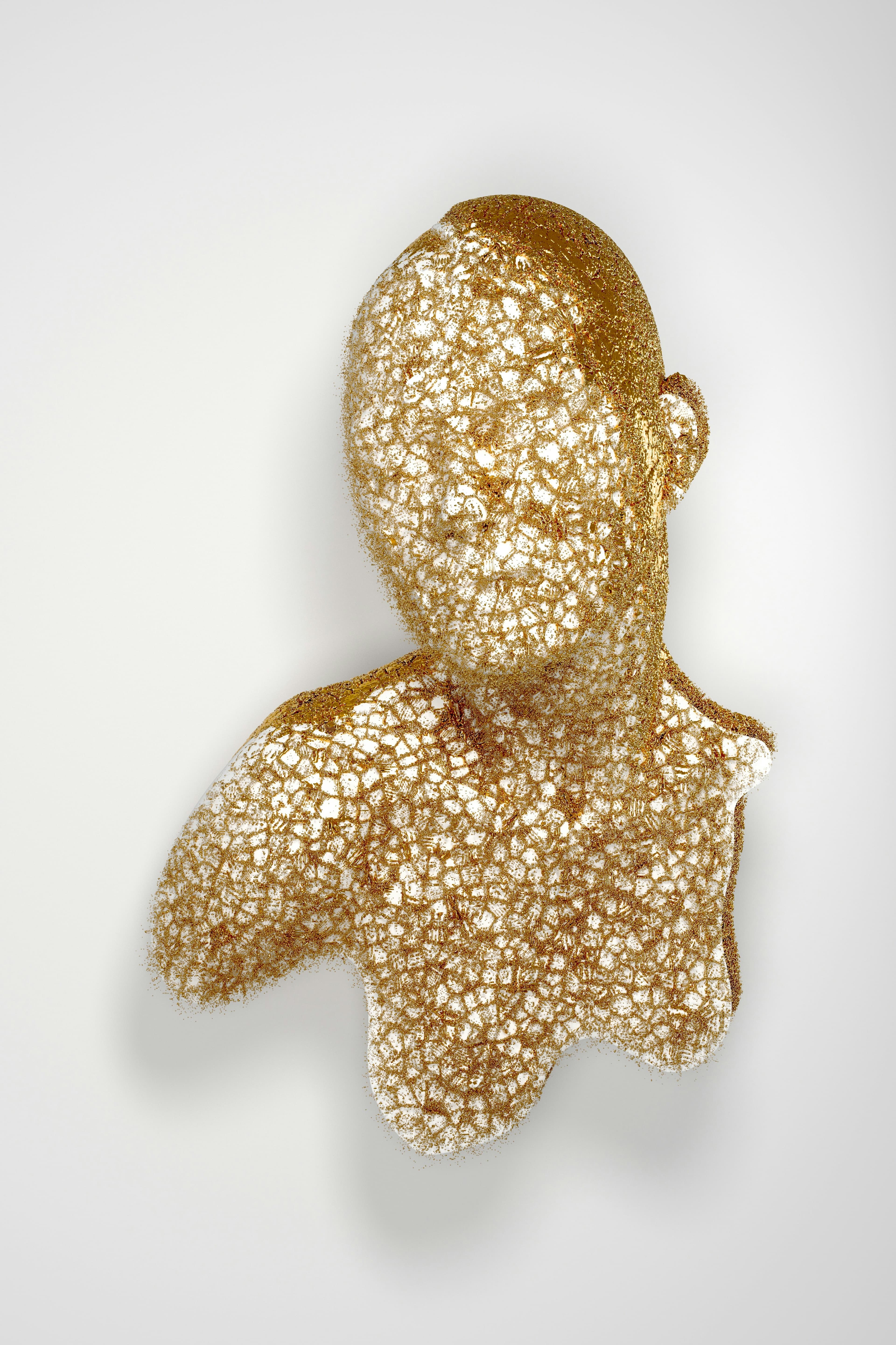 Museu Afro Brasil, image 1 of 1