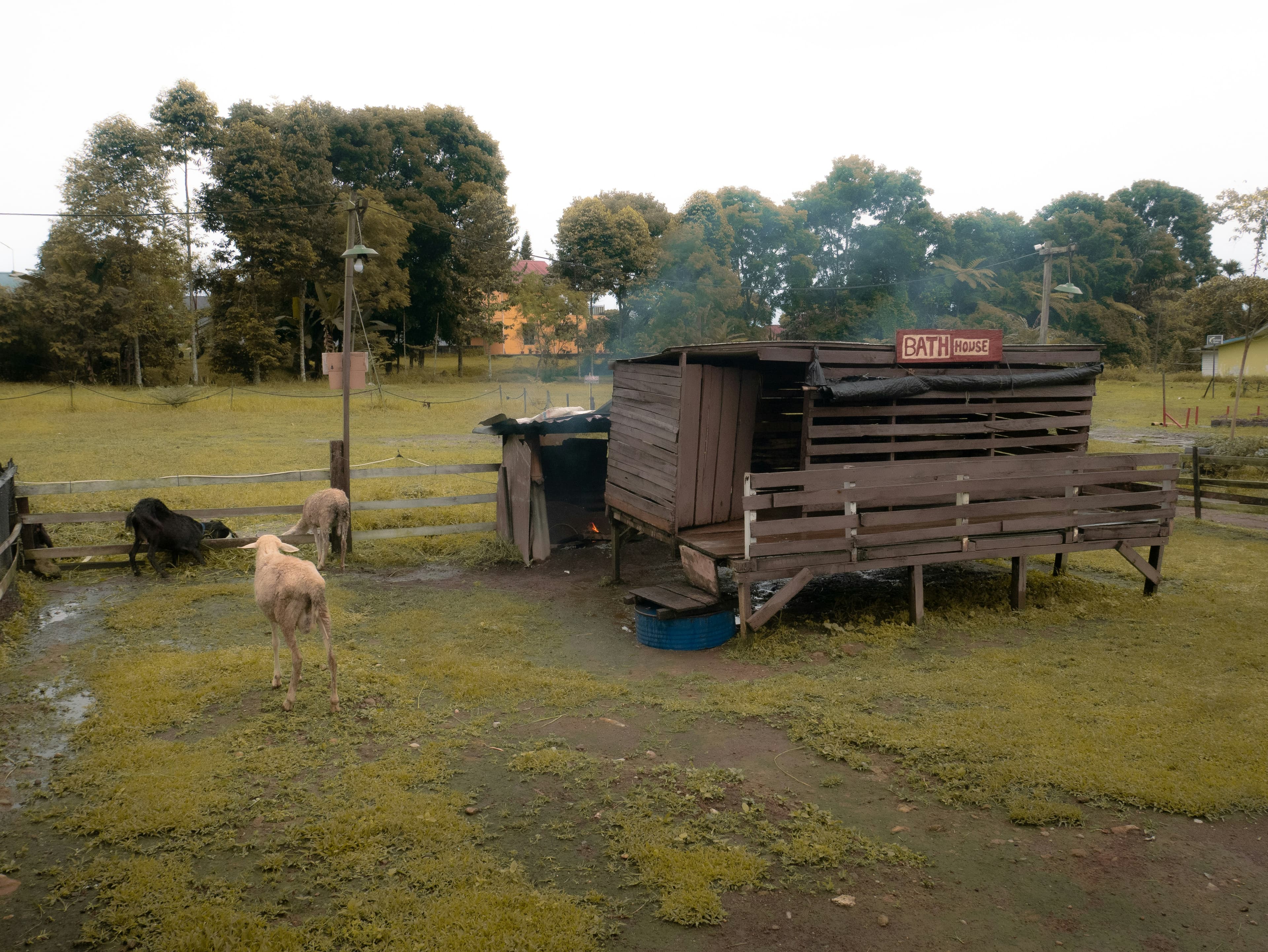 Yard and Coop, image 1 of 1