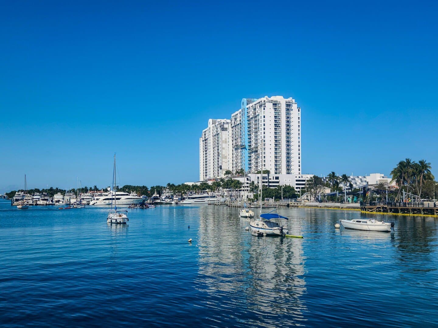 Mondrian South Beach, image 1 of 1