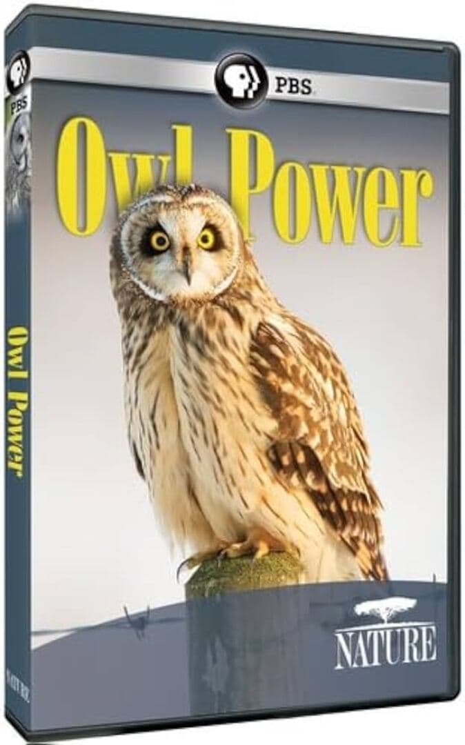 Owl Power, image 1 of 1
