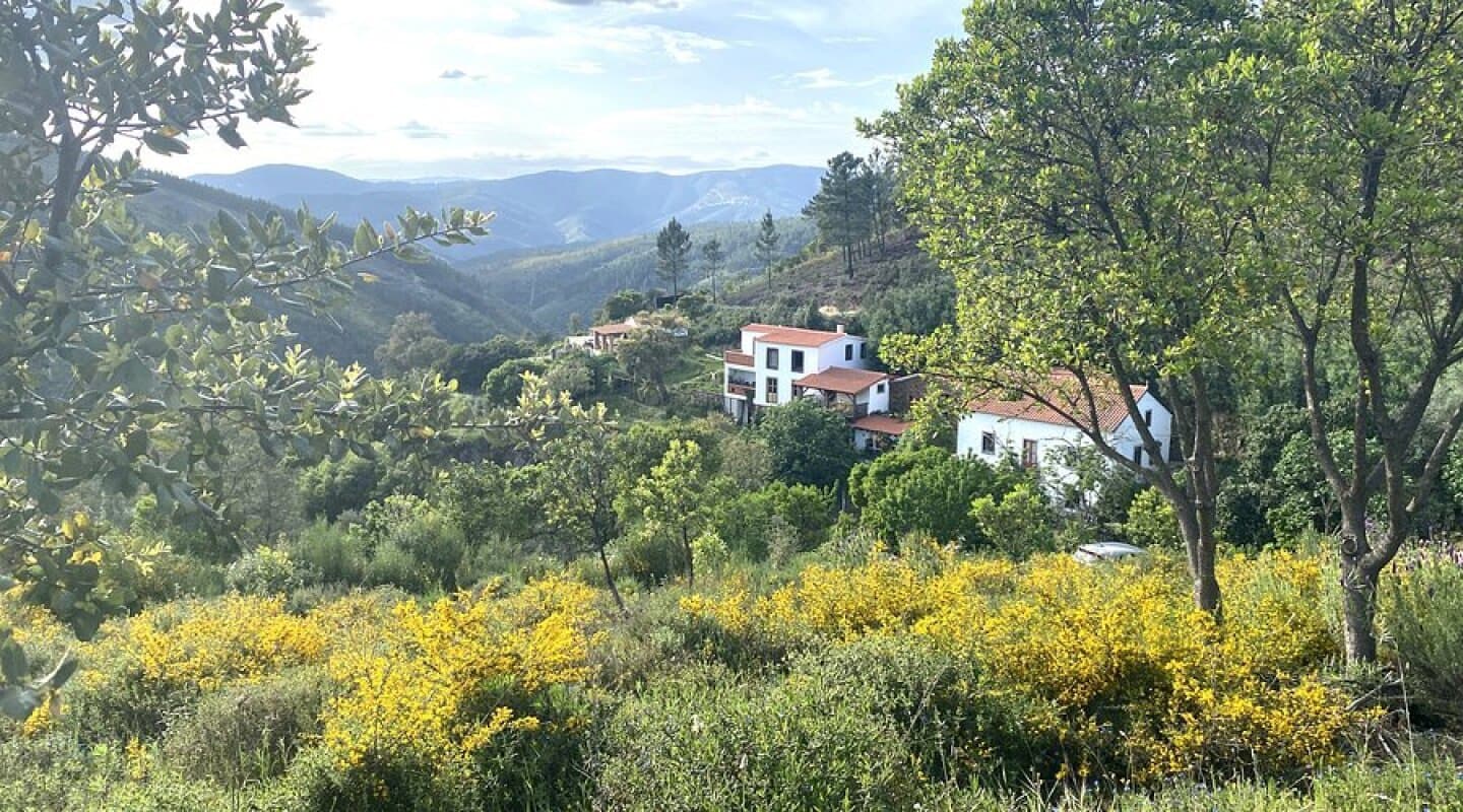 Yoga Evolution Retreats, image 1 of 1
