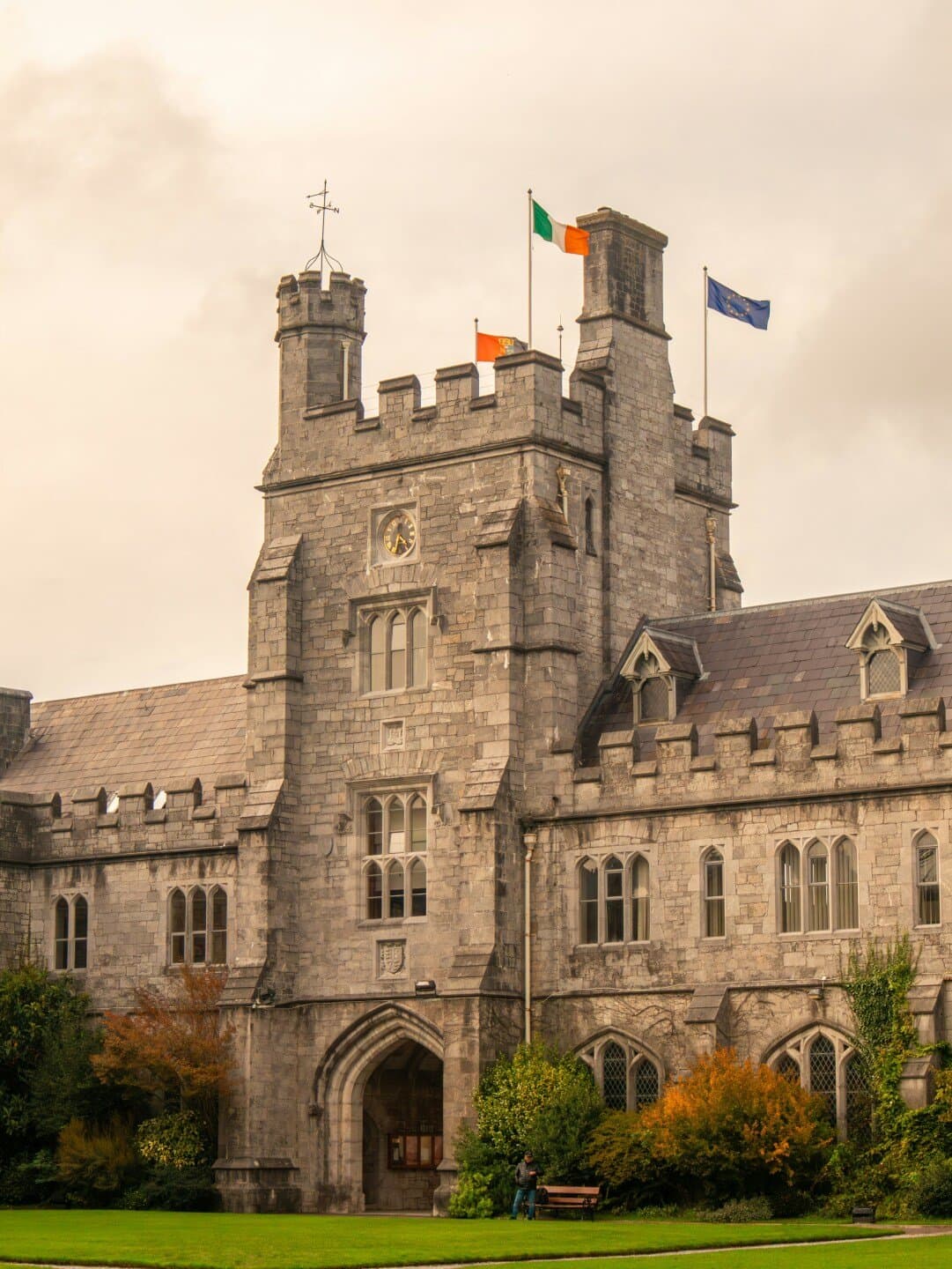 A History of Ireland in 100 Objects, image 1 of 1