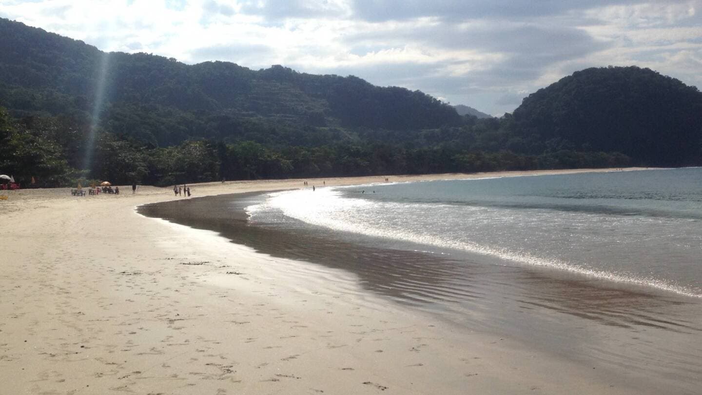 Beach Paradise, image 1 of 1