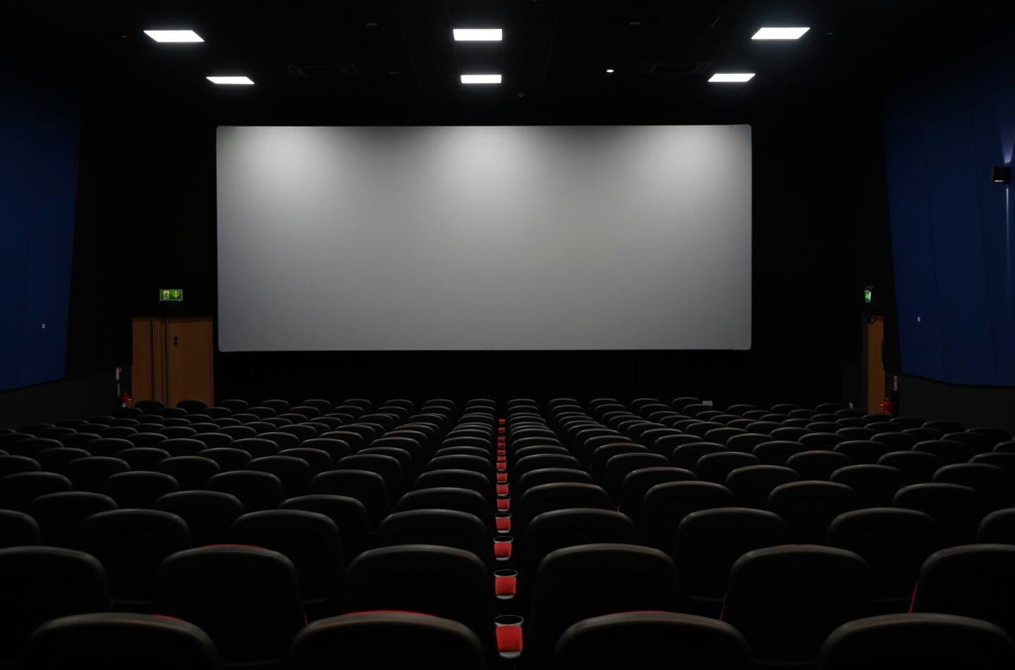 Representação e representatividade: estudos sobre a presença das mulheres na cinematografia brasileira, image 1 of 1