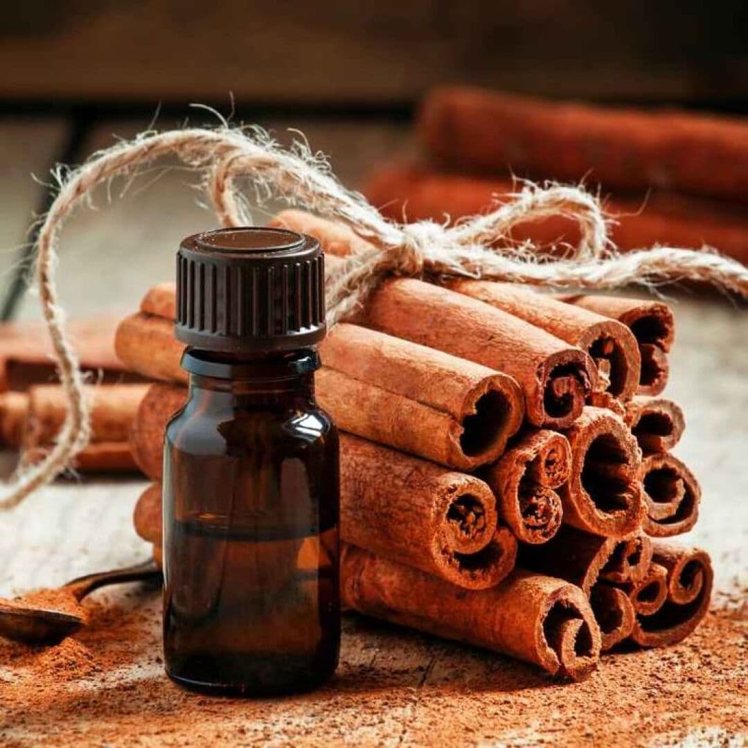 Cinnamon Bark, image 1 of 1
