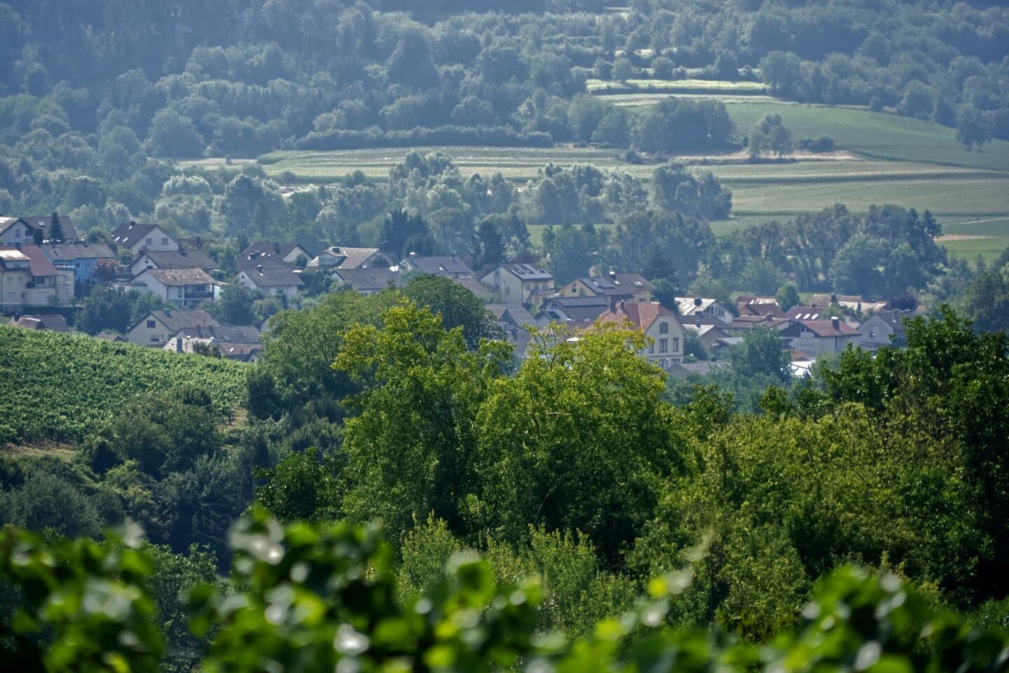 Caveau de Chardonne, image 1 of 1