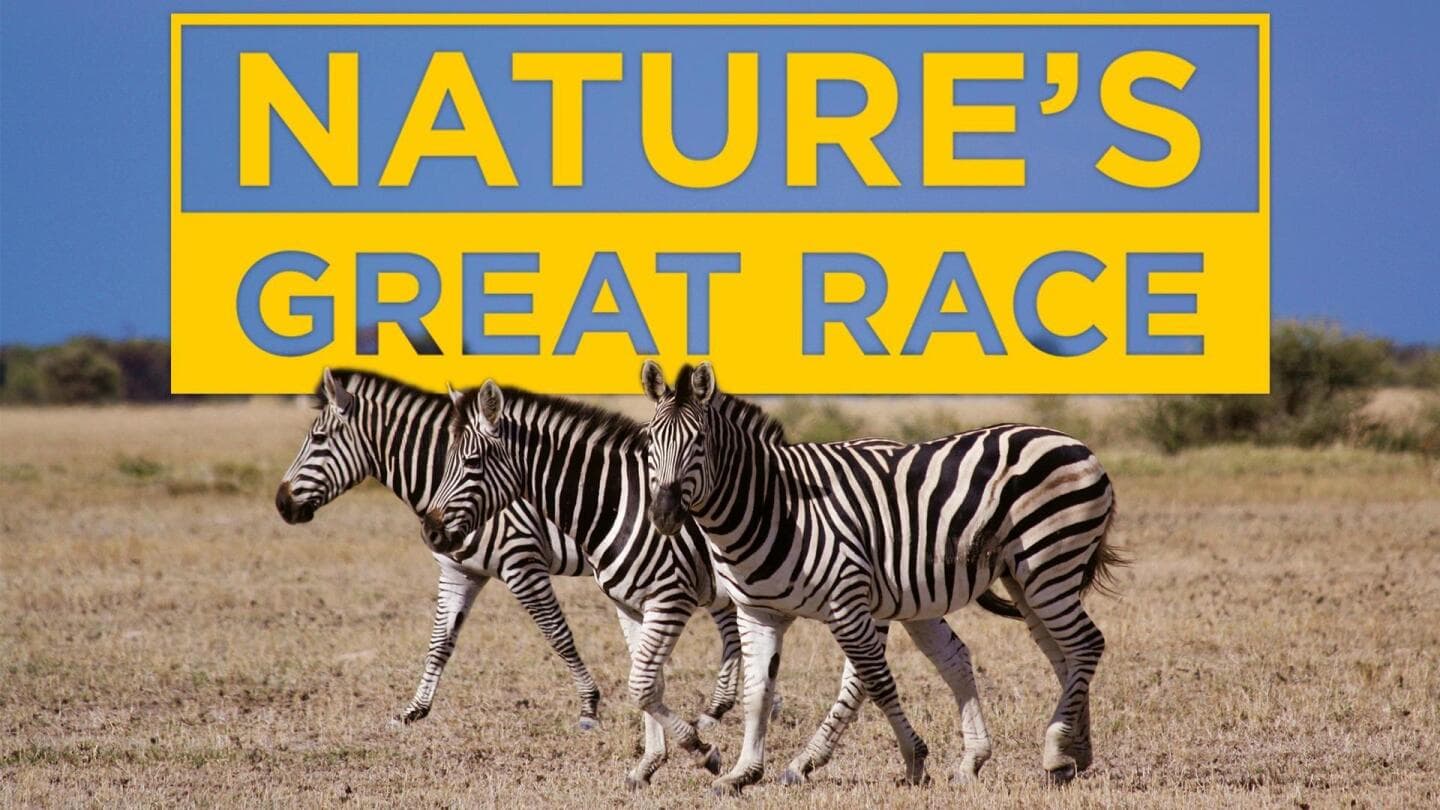 Nature’s Great Race, image 1 of 1