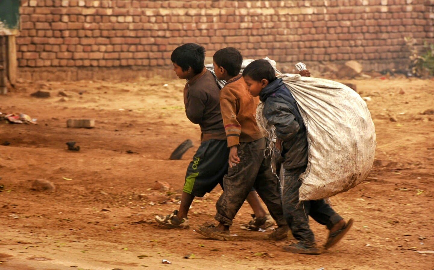 The Economic Lives of the Poor, image 1 of 1