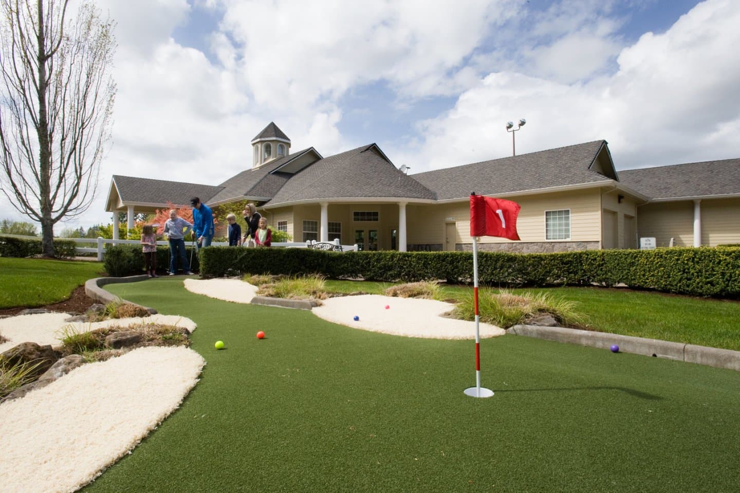 Tualatin Island Greens, image 1 of 1