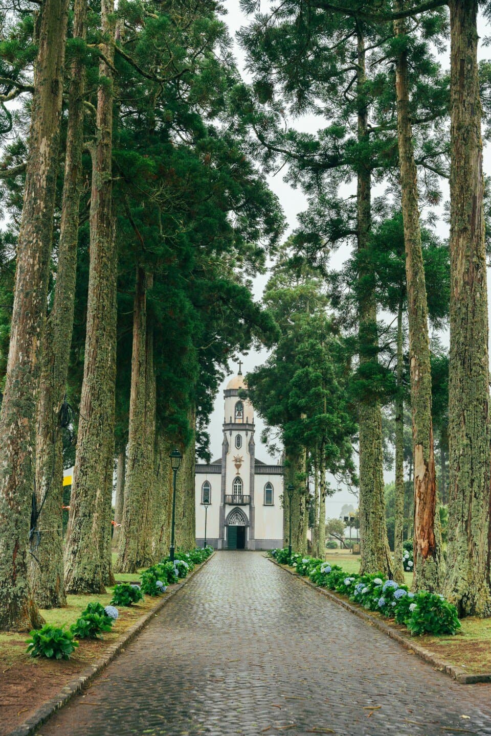 Farmácia São João - Pinheiros, image 1 of 1