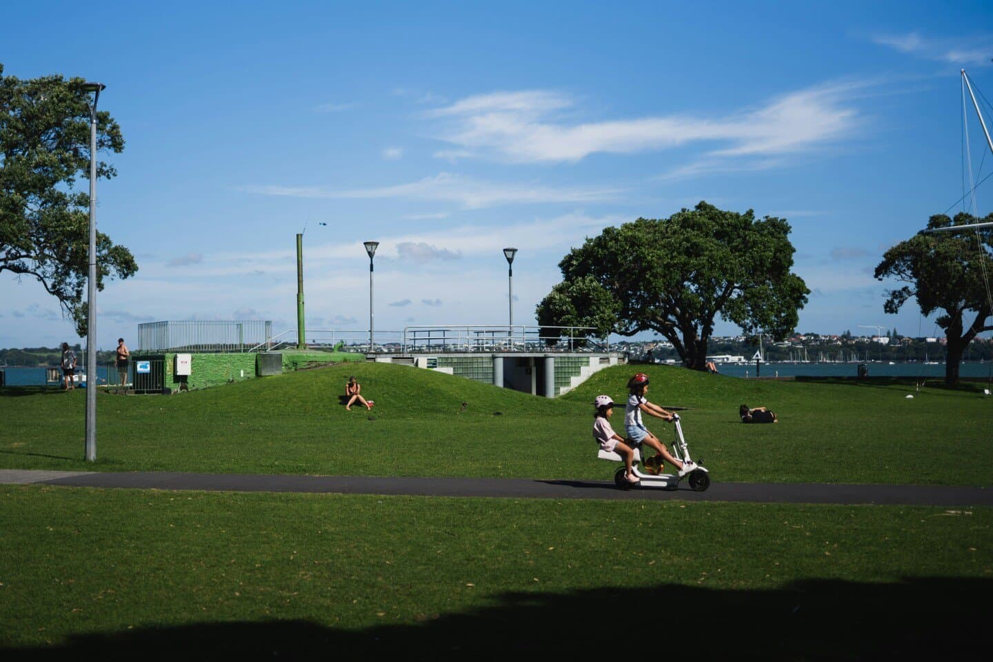 4. T20I Auckland, image 1 of 1