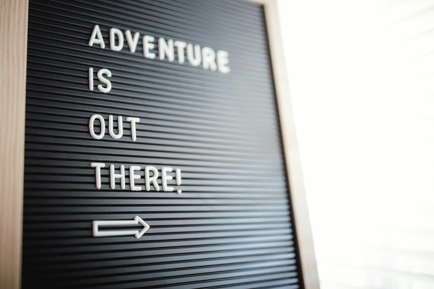 The Adventures of Augie March, image 1 of 1