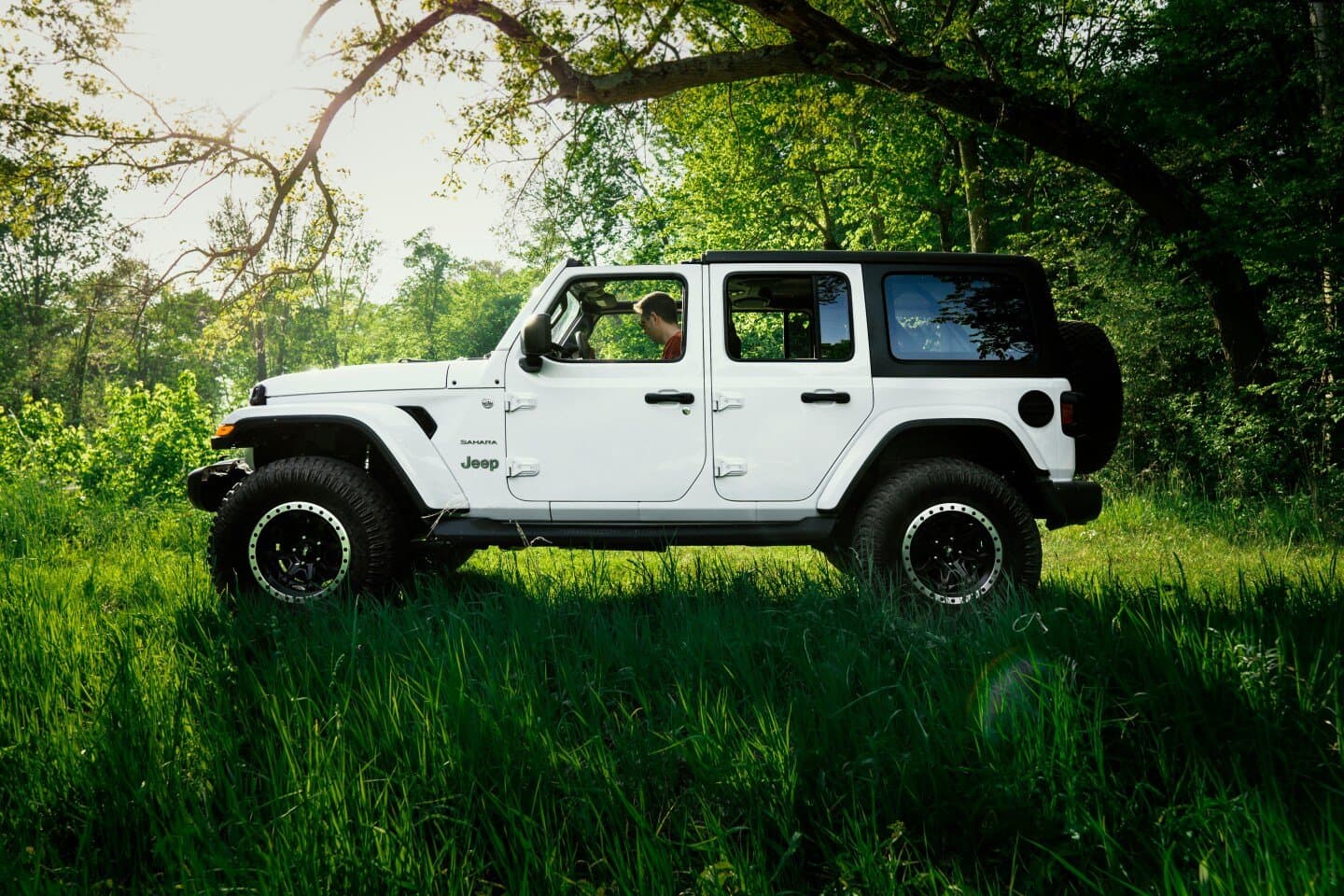 Jeep Wrangler (הישן, עם הגג הפתוח), image 1 of 1
