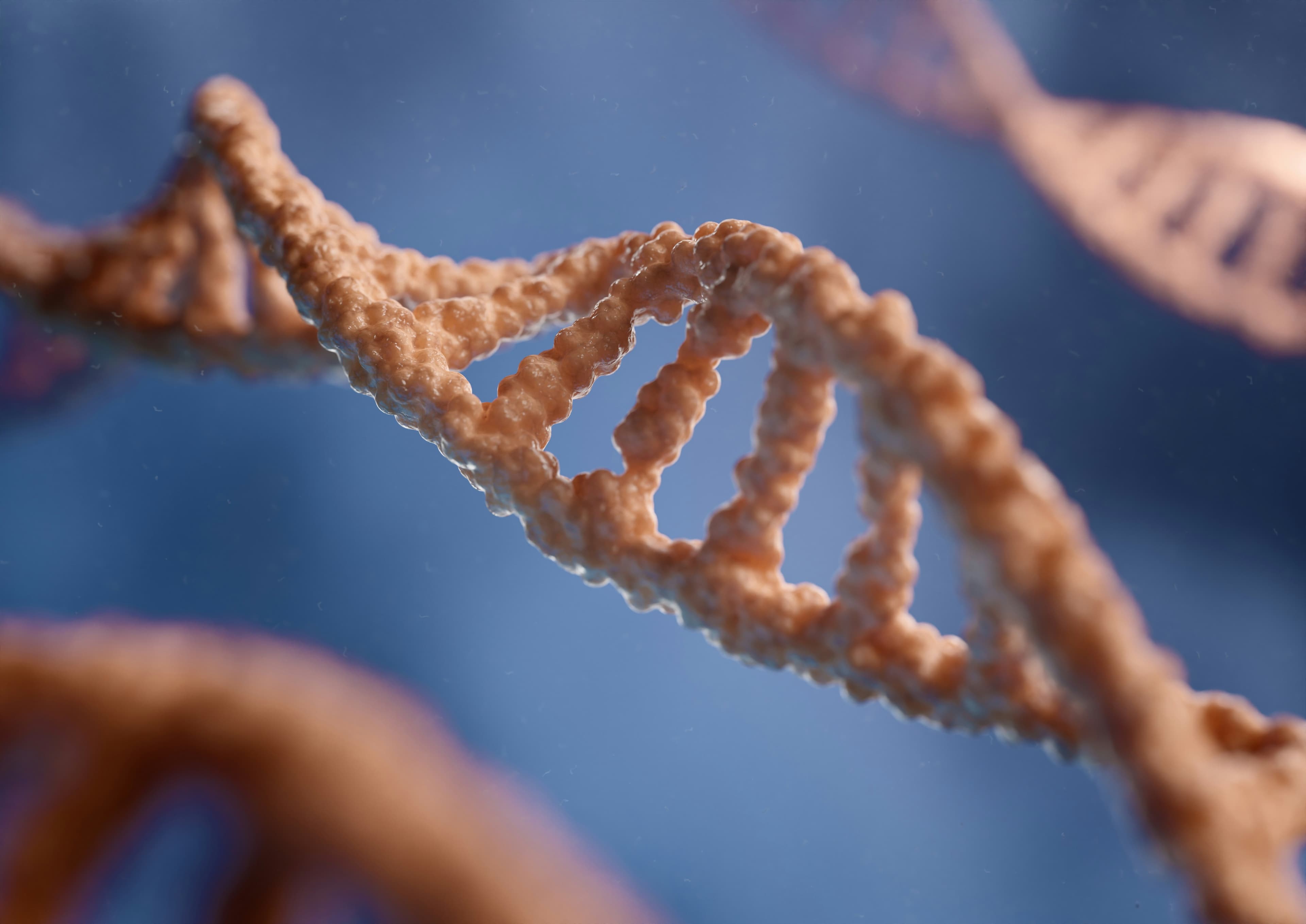 The Structure of DNA (Watson & Crick, 1953), image 1 of 1