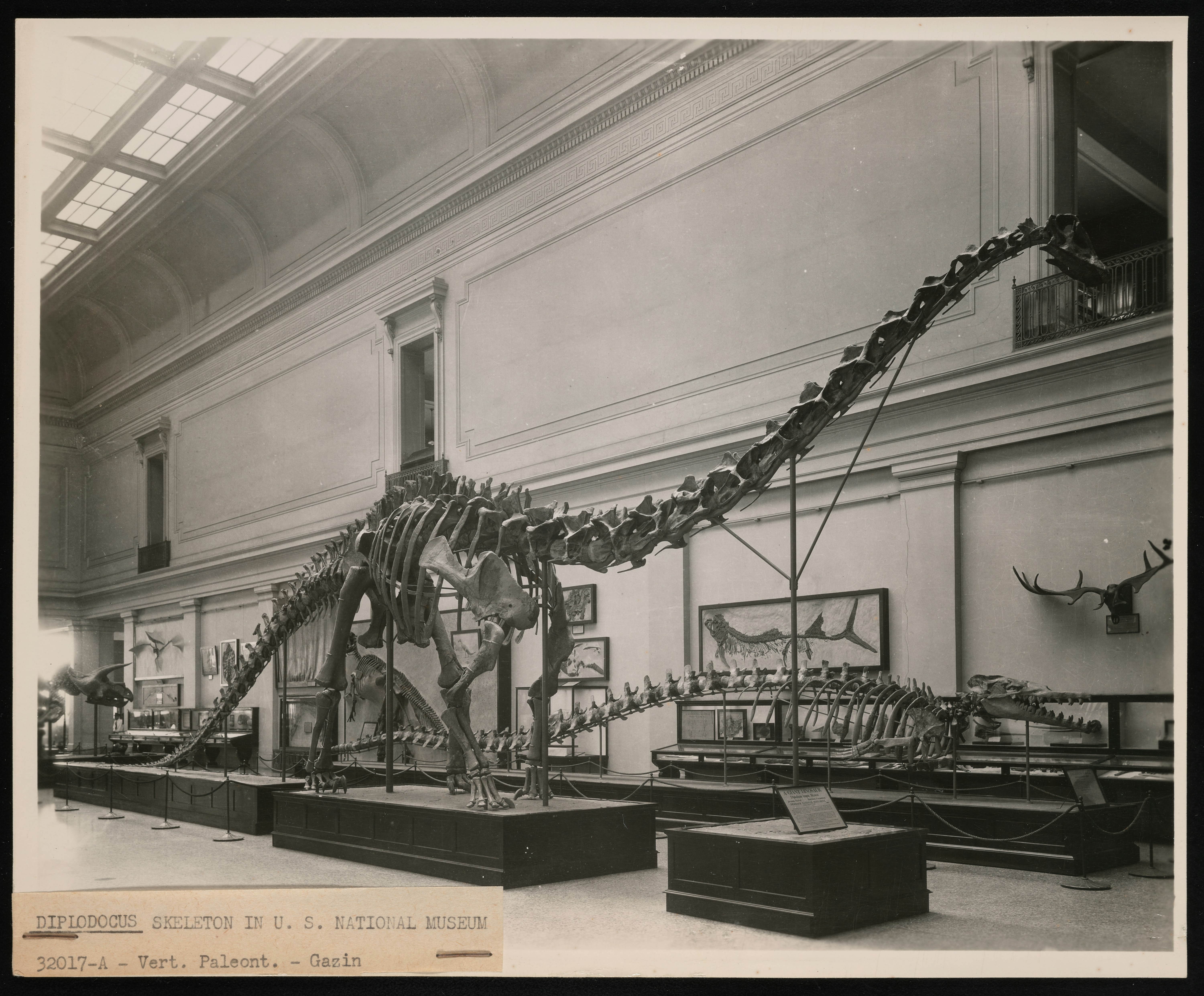 Phillip and Patricia Frost Museum of Science, image 1 of 1