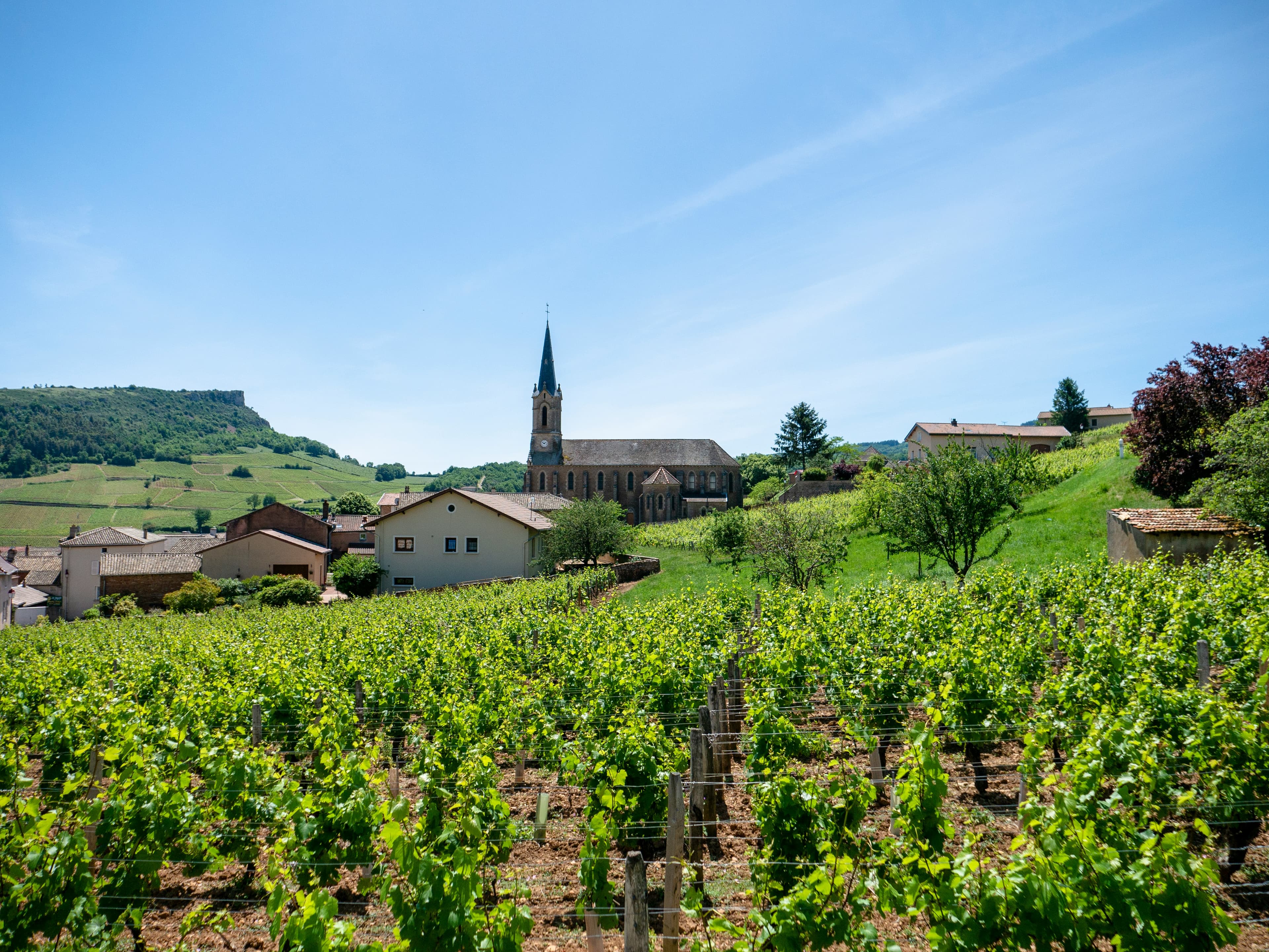 Domaine Huet Vouvray Le Mont Sec, image 1 of 1