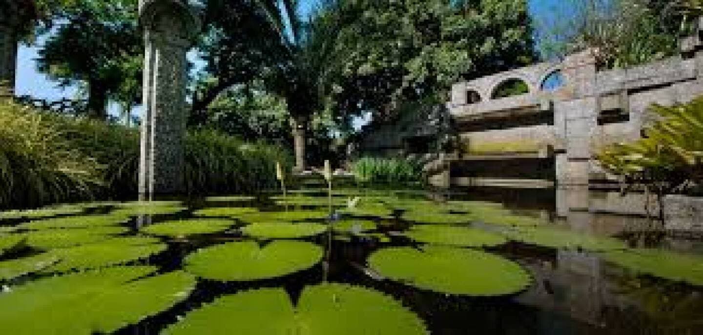Sitio Burle Marx RJ, image 1 of 1