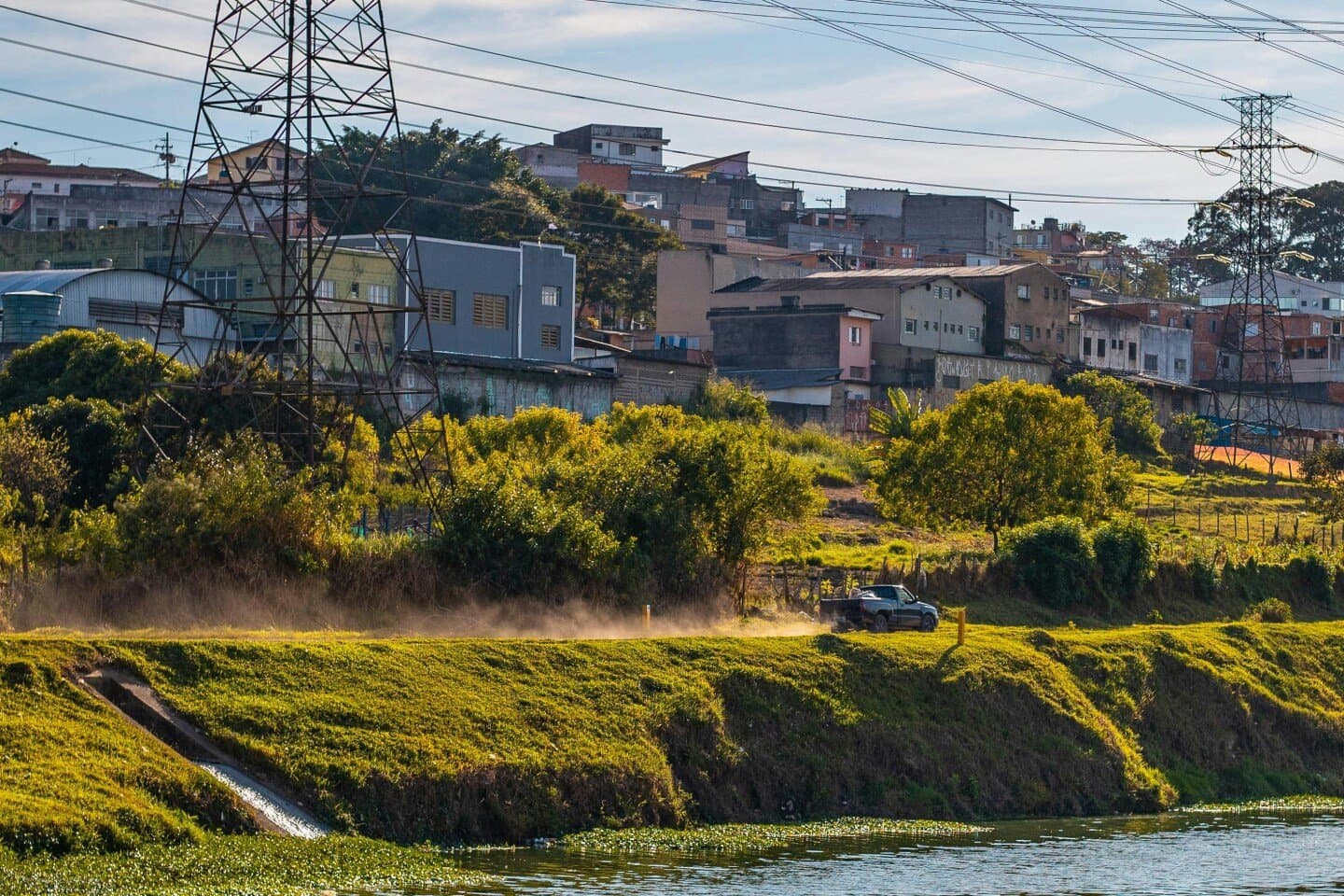 A paisagem sonora do Jardim Botânico da cidade de São Paulo, image 1 of 1