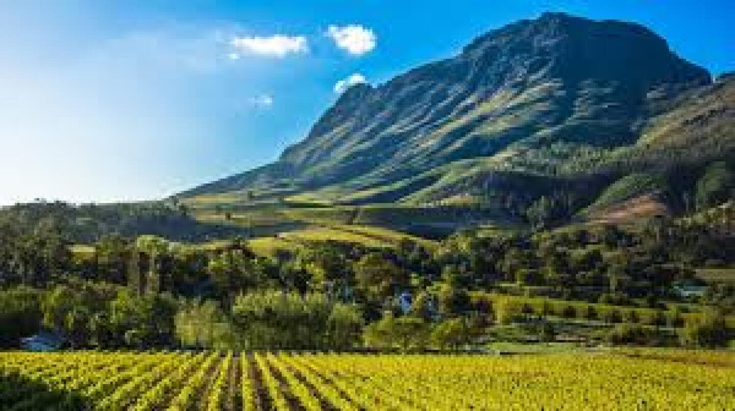 Cape Winelands, image 1 of 1