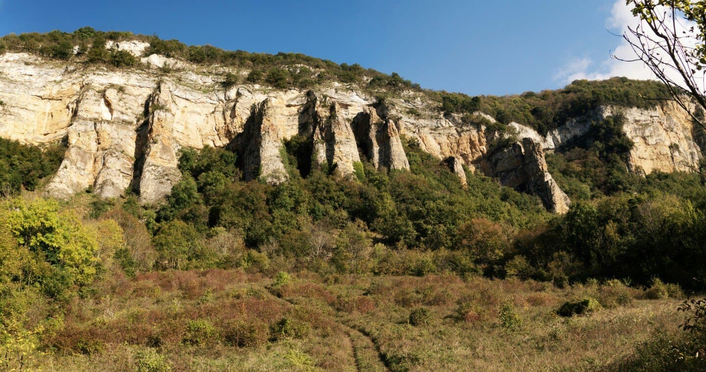 Ôcave, image 1 of 1
