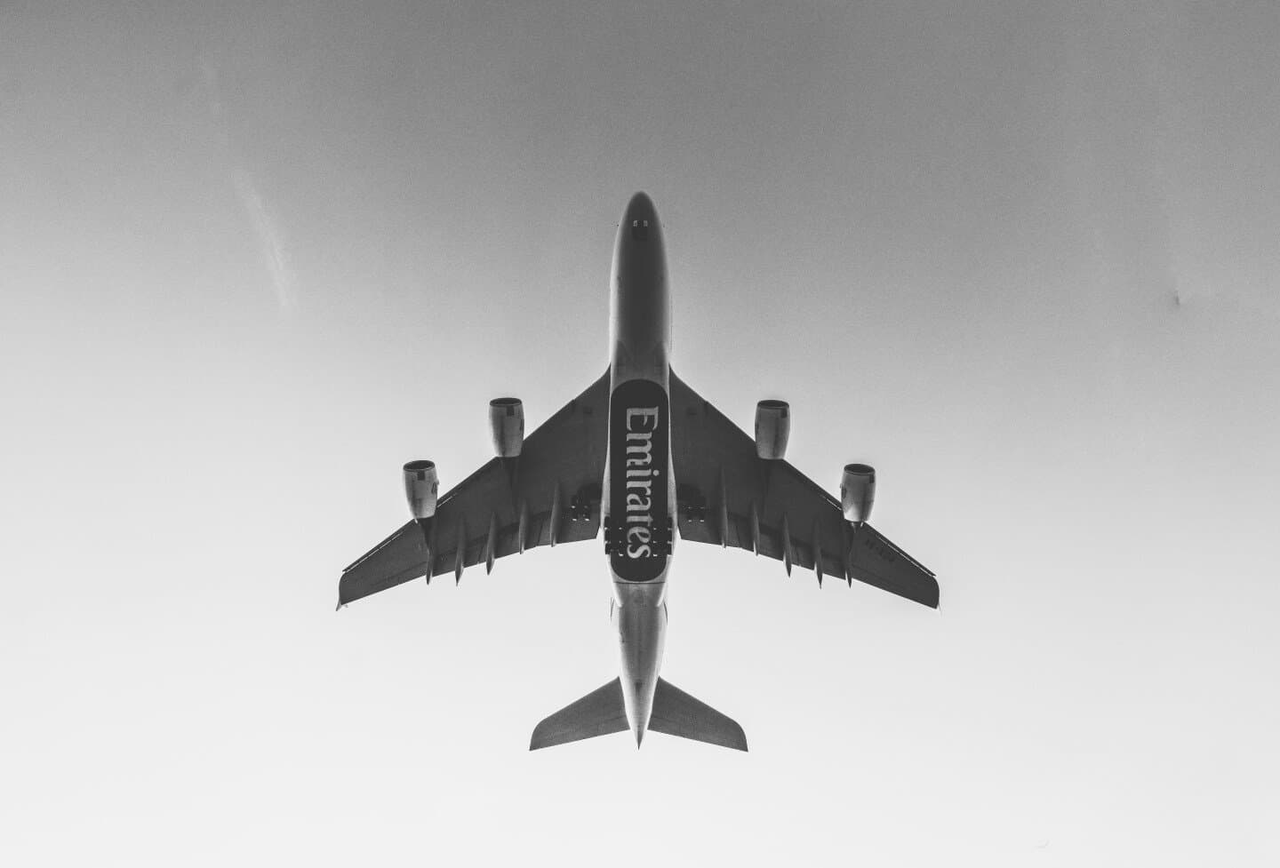 Avelo Airlines, image 1 of 1