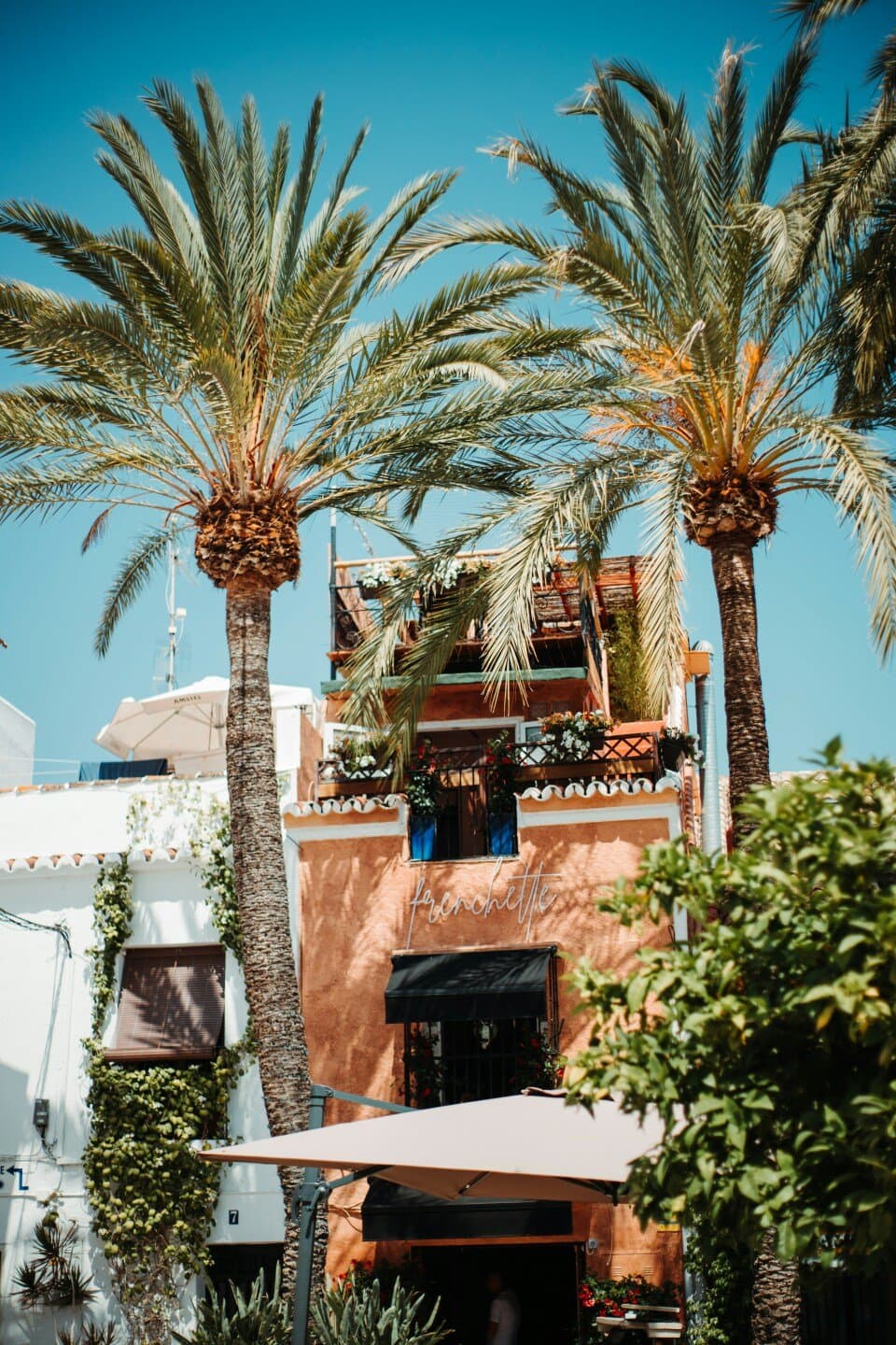 Tablao Flamenco Marbella, image 1 of 1