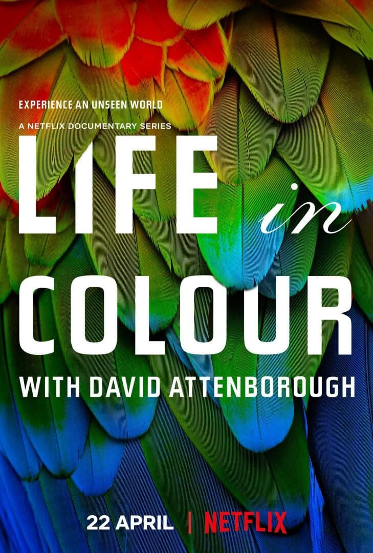 Life in Color with David Attenborough, image 1 of 1