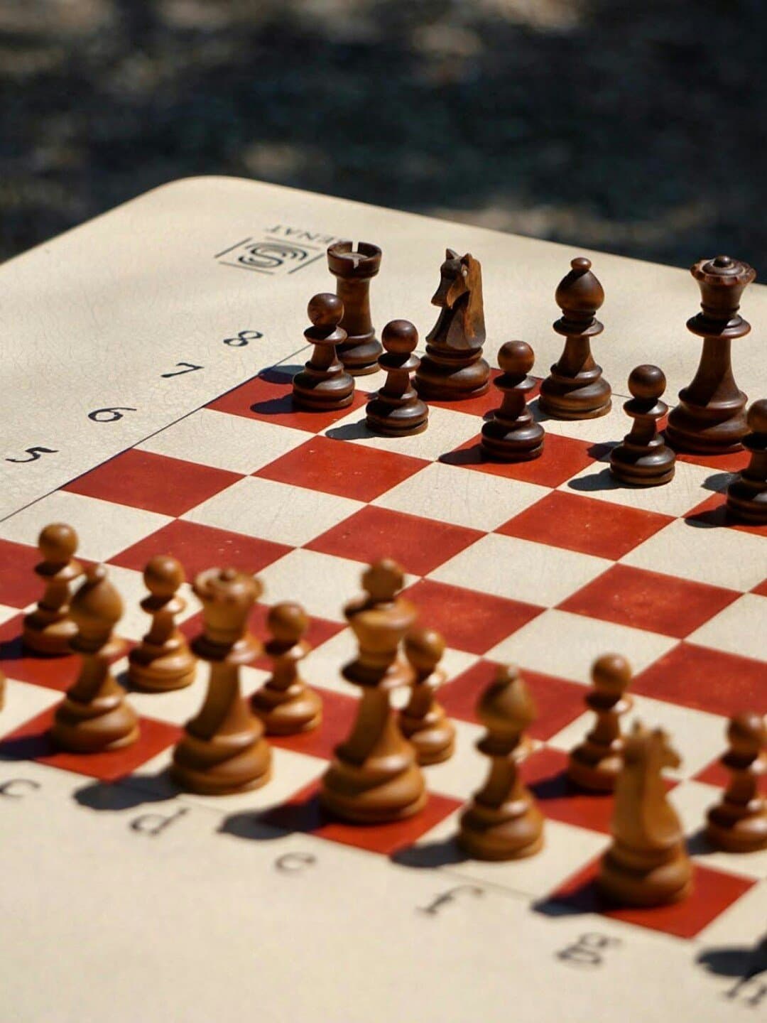 The Soul of Chess, image 1 of 1