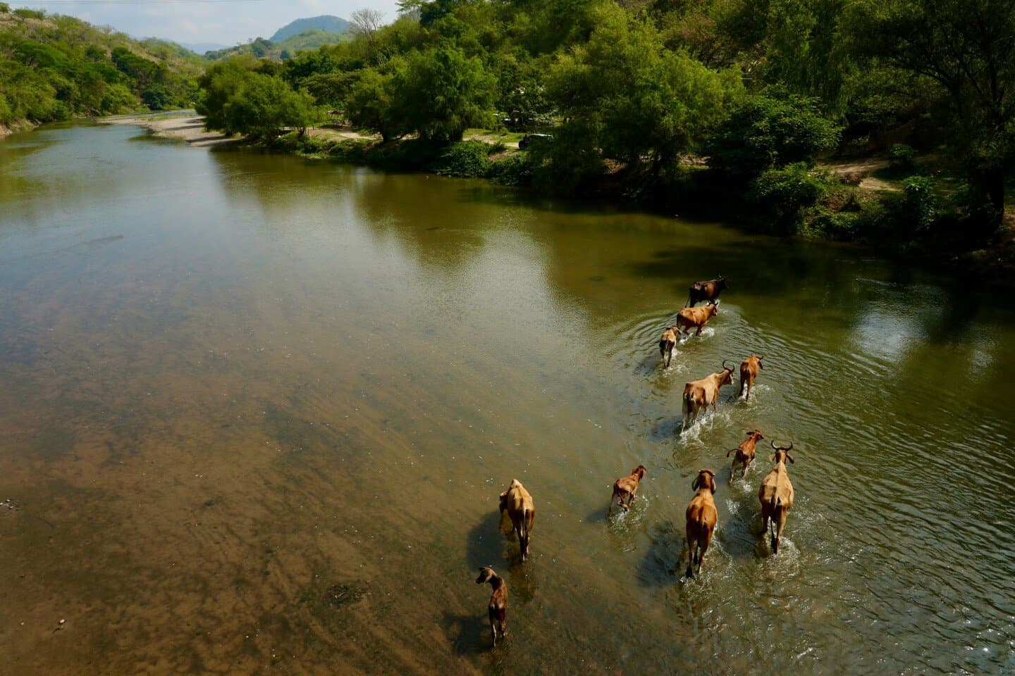El Rio, image 1 of 1