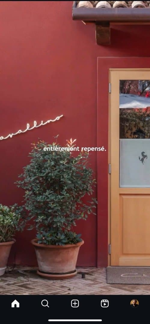 Cavallino, image 1 of 1