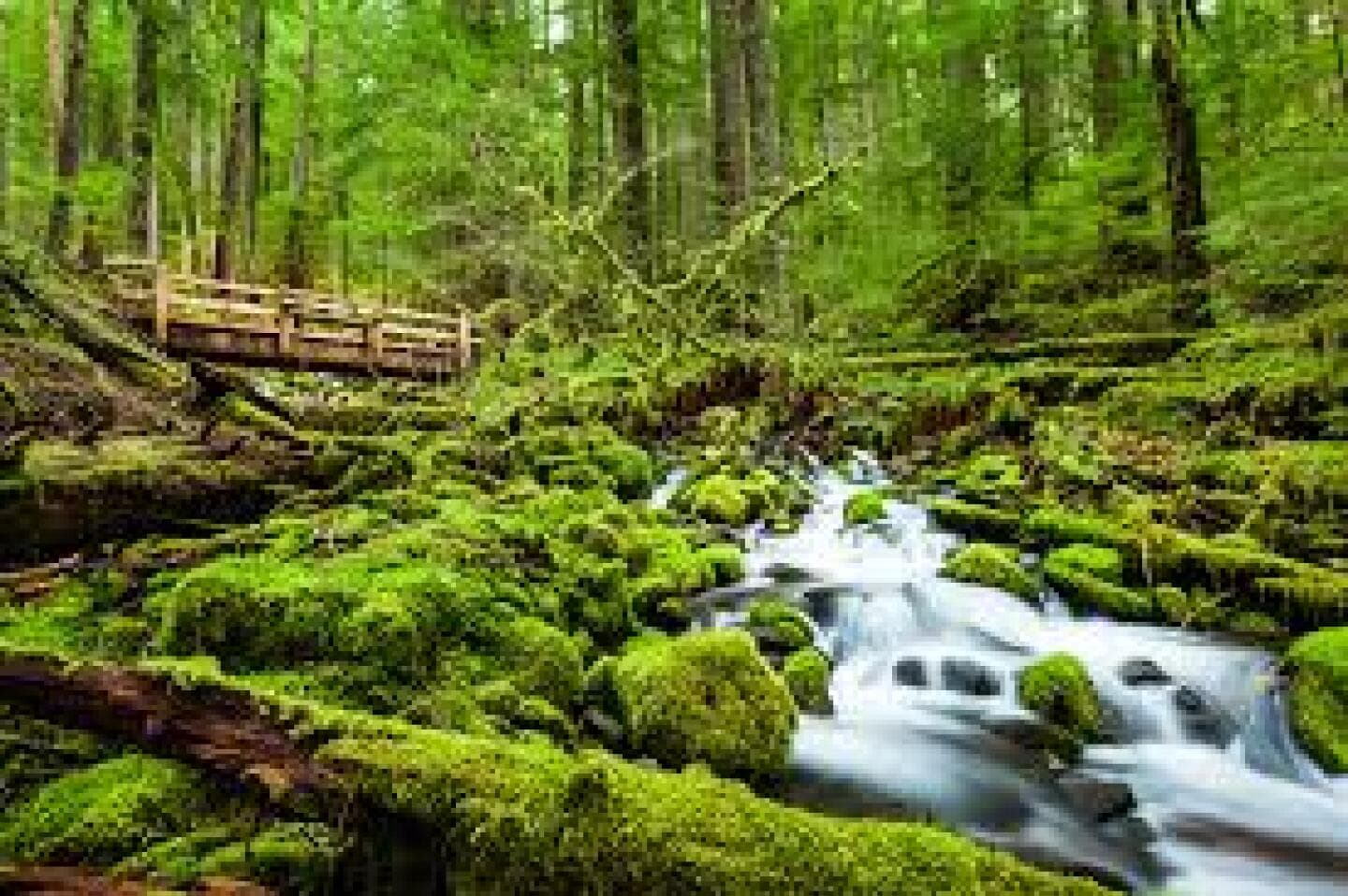 Olympic National Park, image 1 of 1