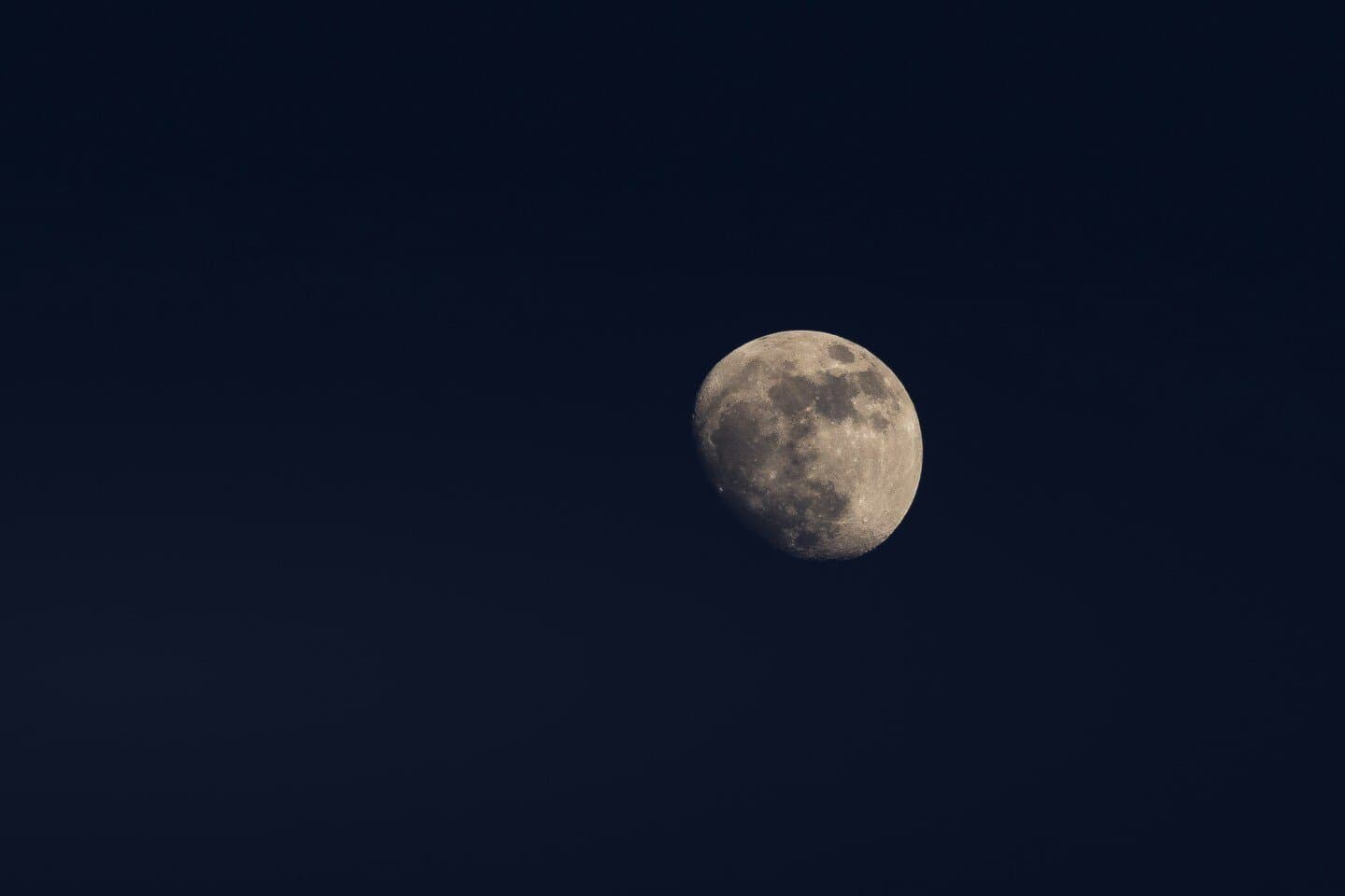 Black | Luna, image 1 of 1