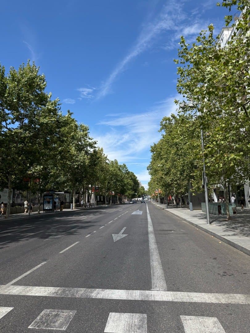 Calle Serrano, image 1 of 1