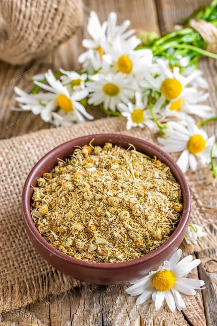 Camomila – floral suave, calmante e acolhedor., image 1 of 1