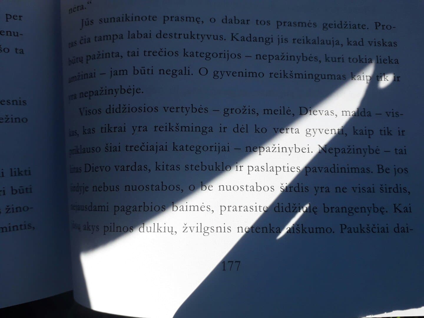 O Bem-Amado, image 1 of 1