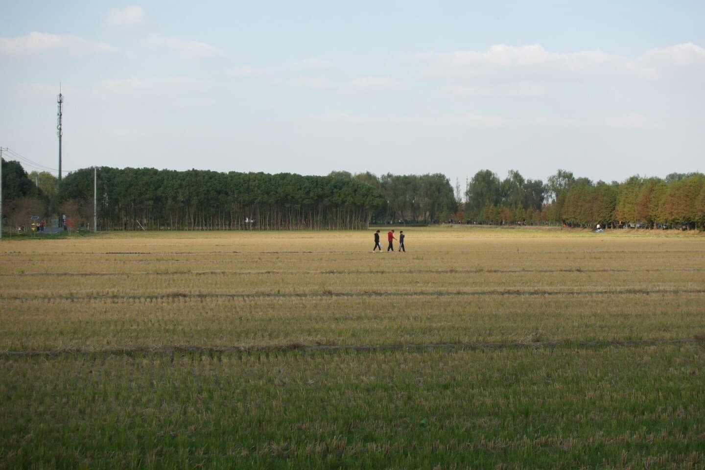Hackney Marshes Centre, image 1 of 1