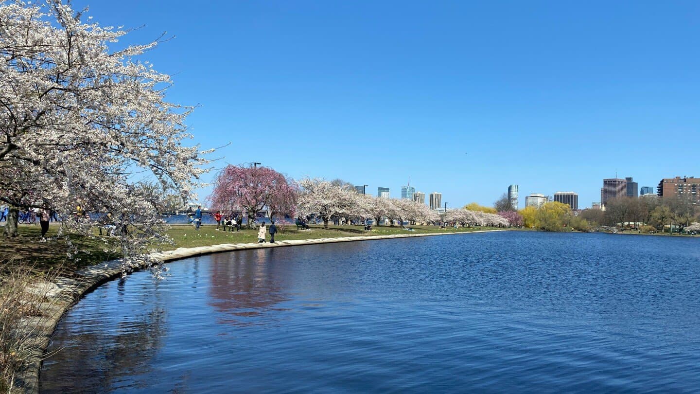 Charles River Esplanade, image 1 of 1