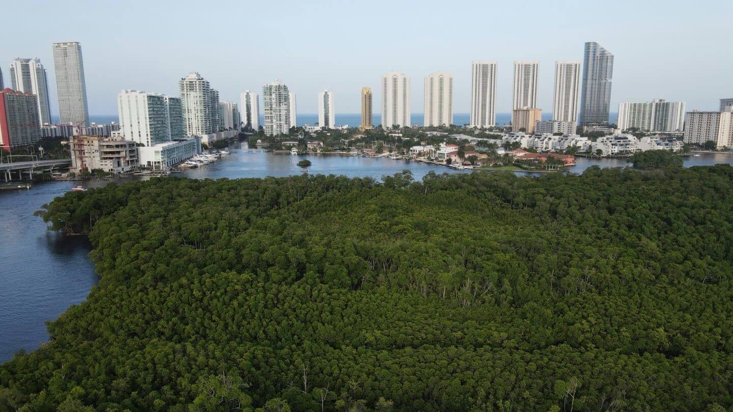 Museum of Contemporary Art, North Miami (MOCA), image 1 of 1