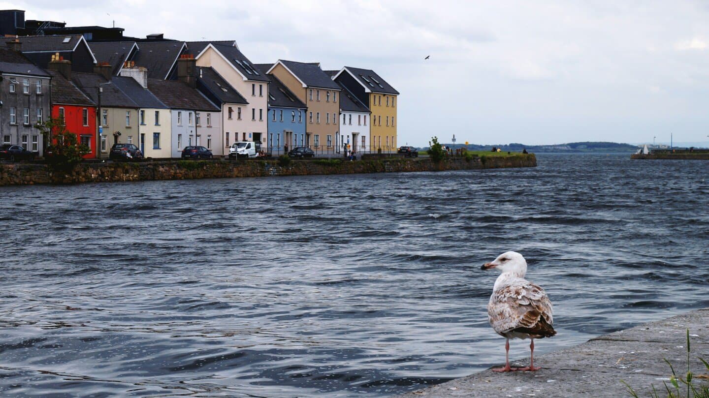 Galway House, image 1 of 1