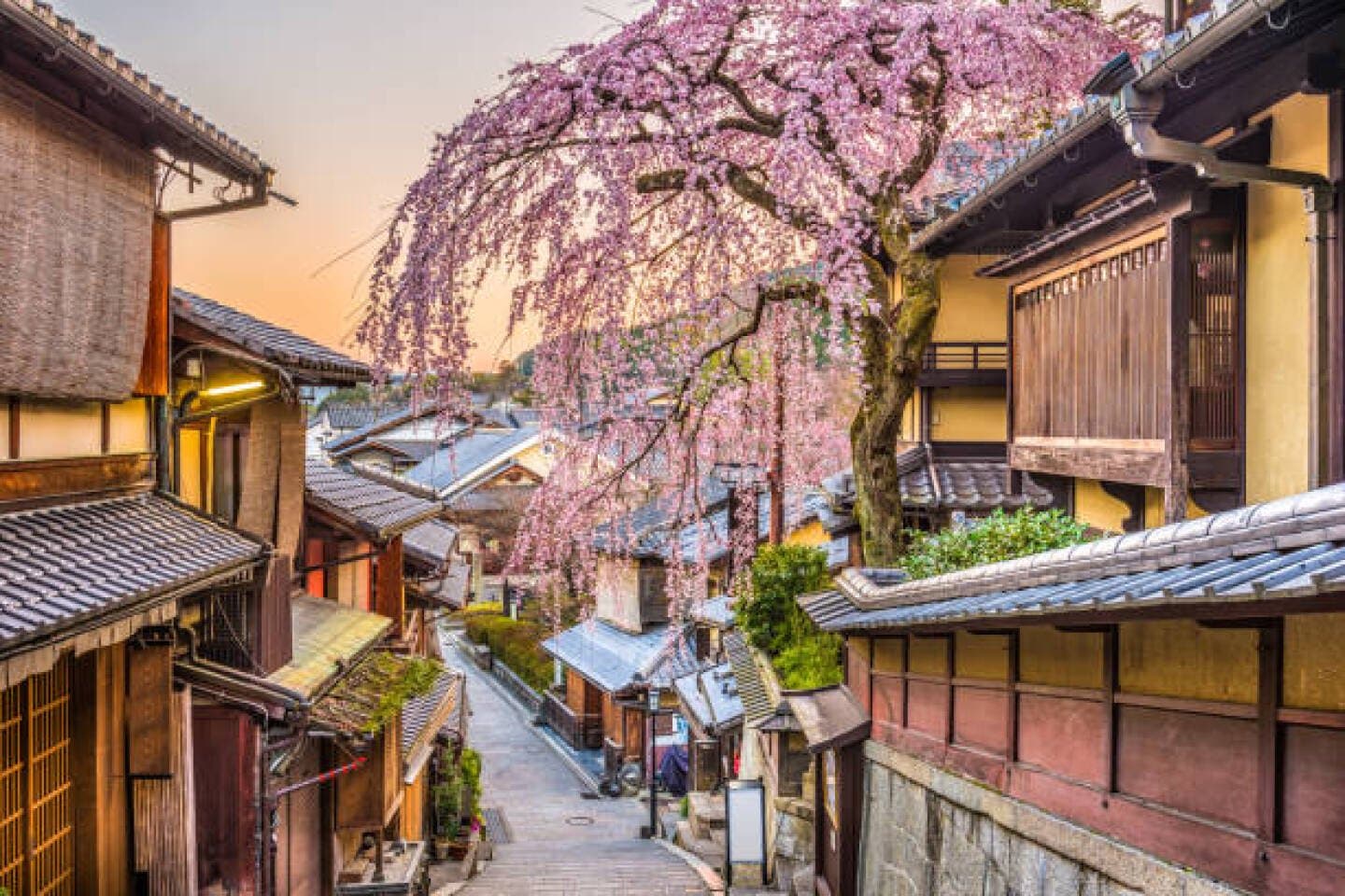 Kyoto, image 1 of 1