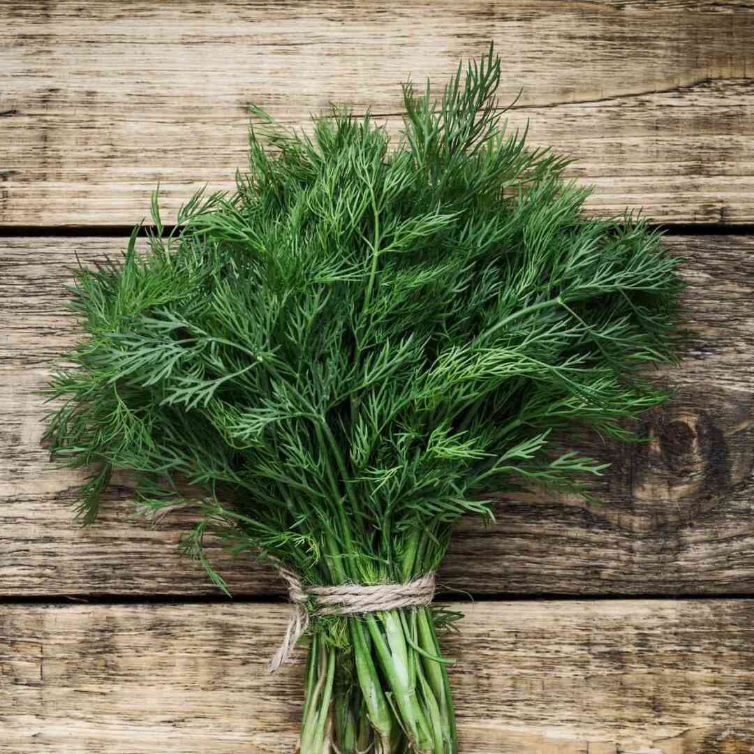Dill, image 1 of 1